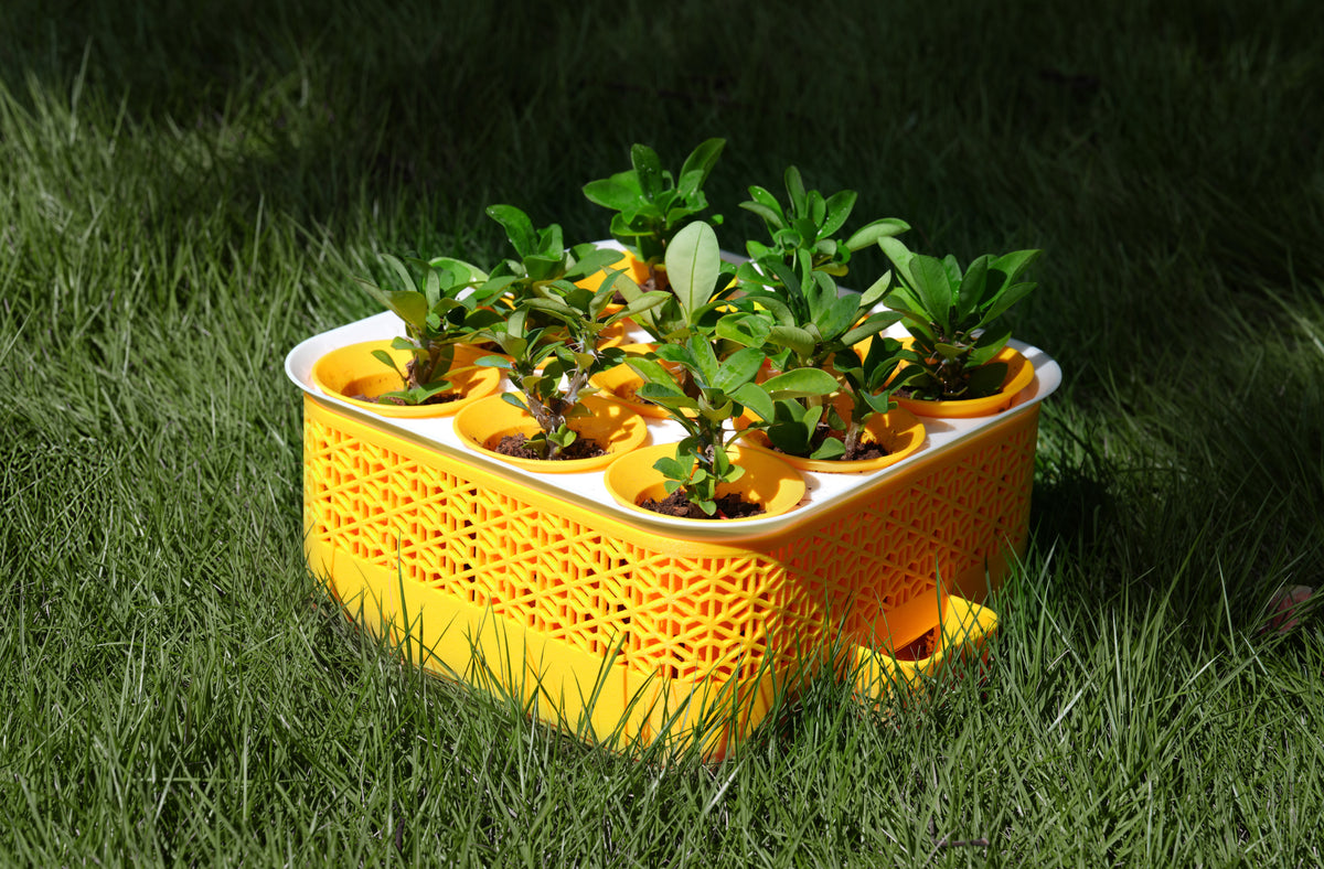 Seed Starter: PA6-GF
