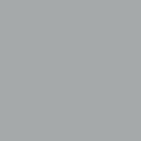 Silver (10102)