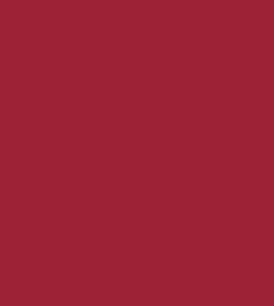 Maroon Red (10205)