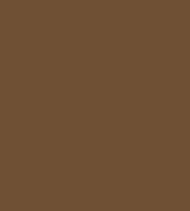 Cocoa Brown (10802)