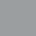 Ash Gray (11102)