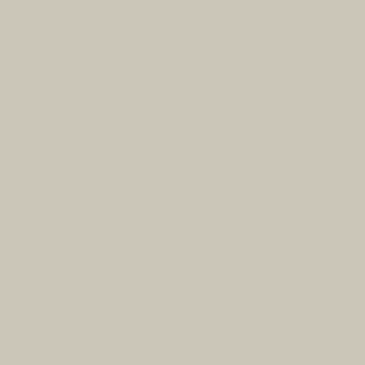 Bone White (11103)