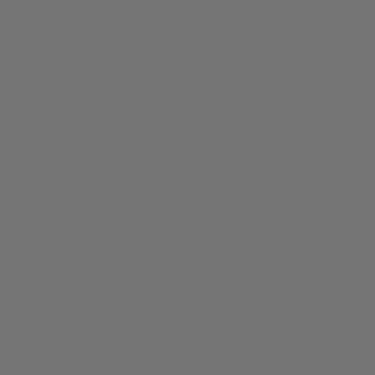 Nardo Gray (11104)
